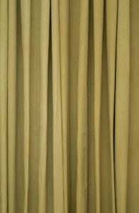 Olive – Image 3